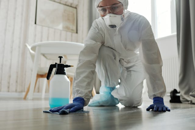 cleaning